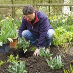 UK Gardener Jobs 